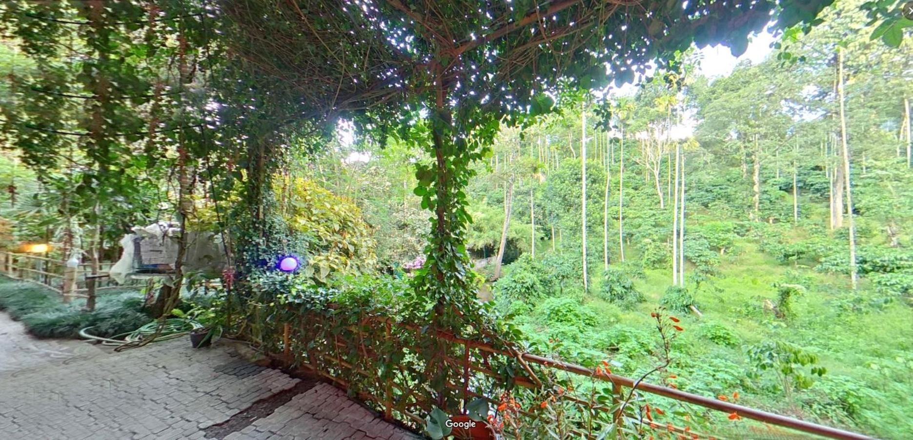 Wayanad Royal Stream Bed & Breakfast Kalpetta Exterior photo