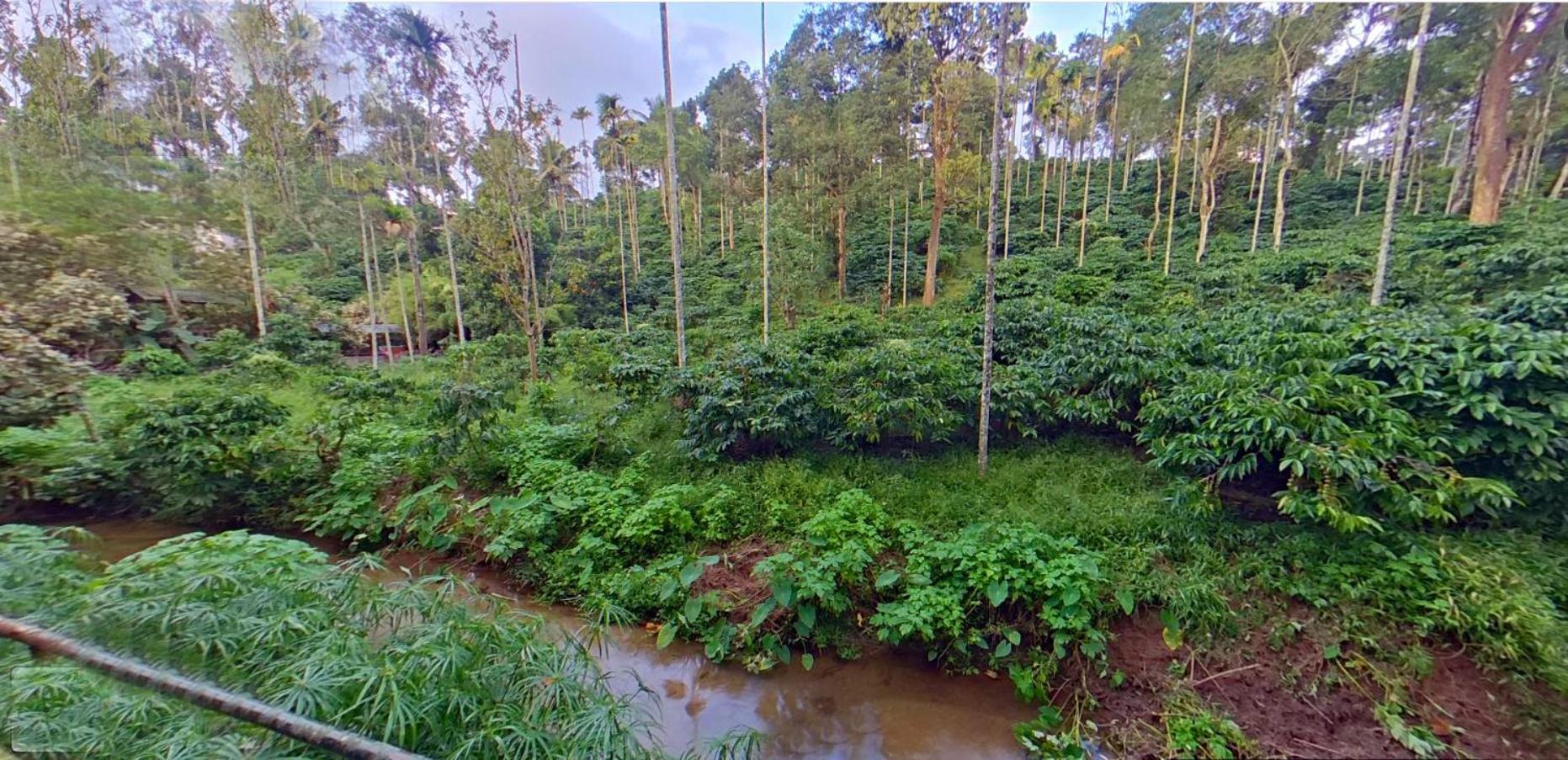 Wayanad Royal Stream Bed & Breakfast Kalpetta Exterior photo