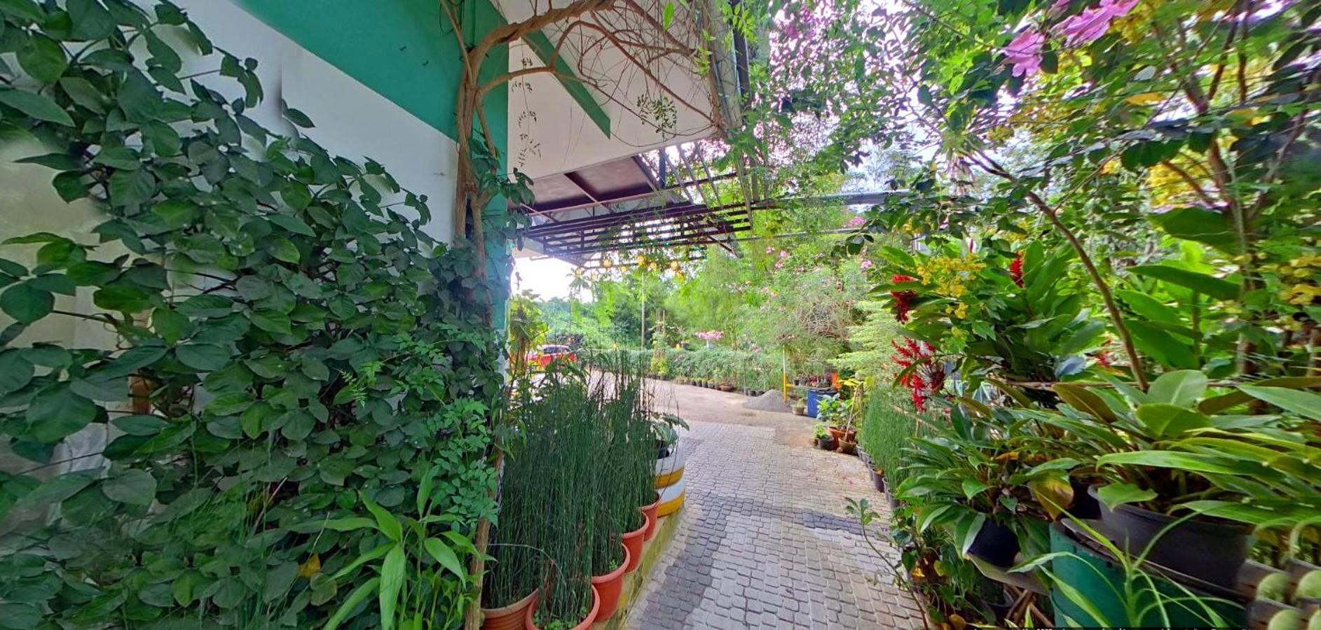 Wayanad Royal Stream Bed & Breakfast Kalpetta Exterior photo